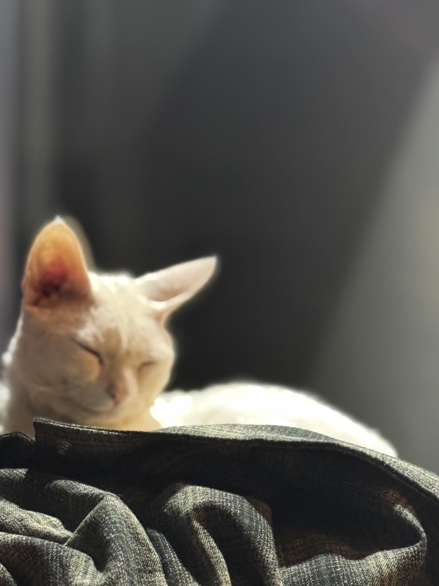 人生是为了什么  为了钱吗  可我有一瞬间什么都不要想要了 包括我自己