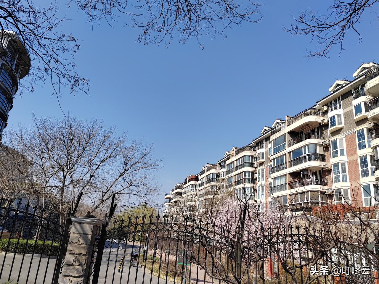 北京的蓝天很干净，单春寒料峭，时冷时热！北京春天是个急性子的小调皮✨
 
北京的