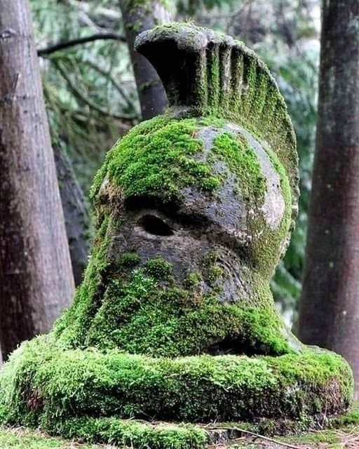 古希腊使用植物进行空调!
古希腊的房屋不得不处理我们今天面临的许多问题,特别是炎
