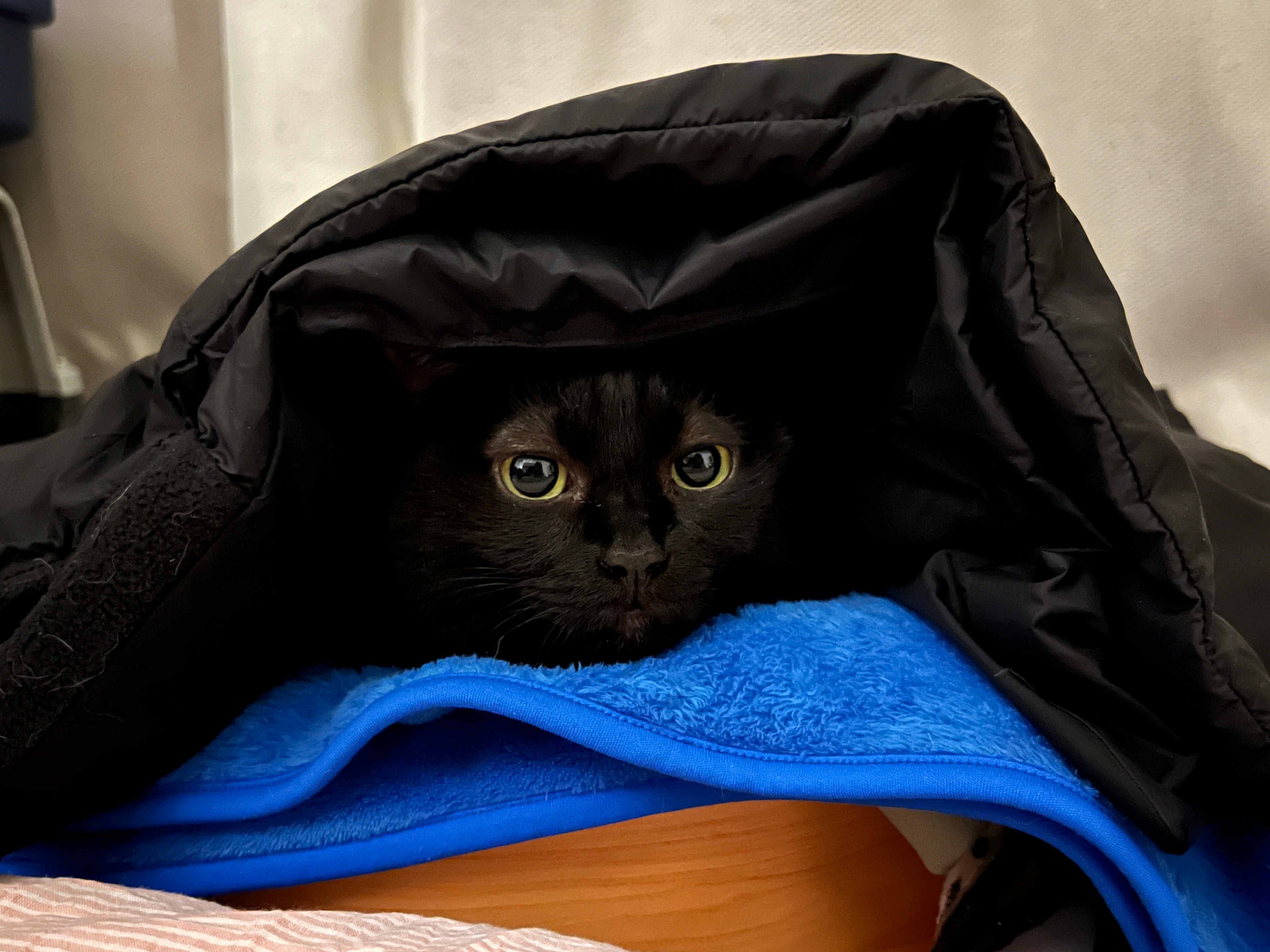 小黑人也感覺到冷惹～ 