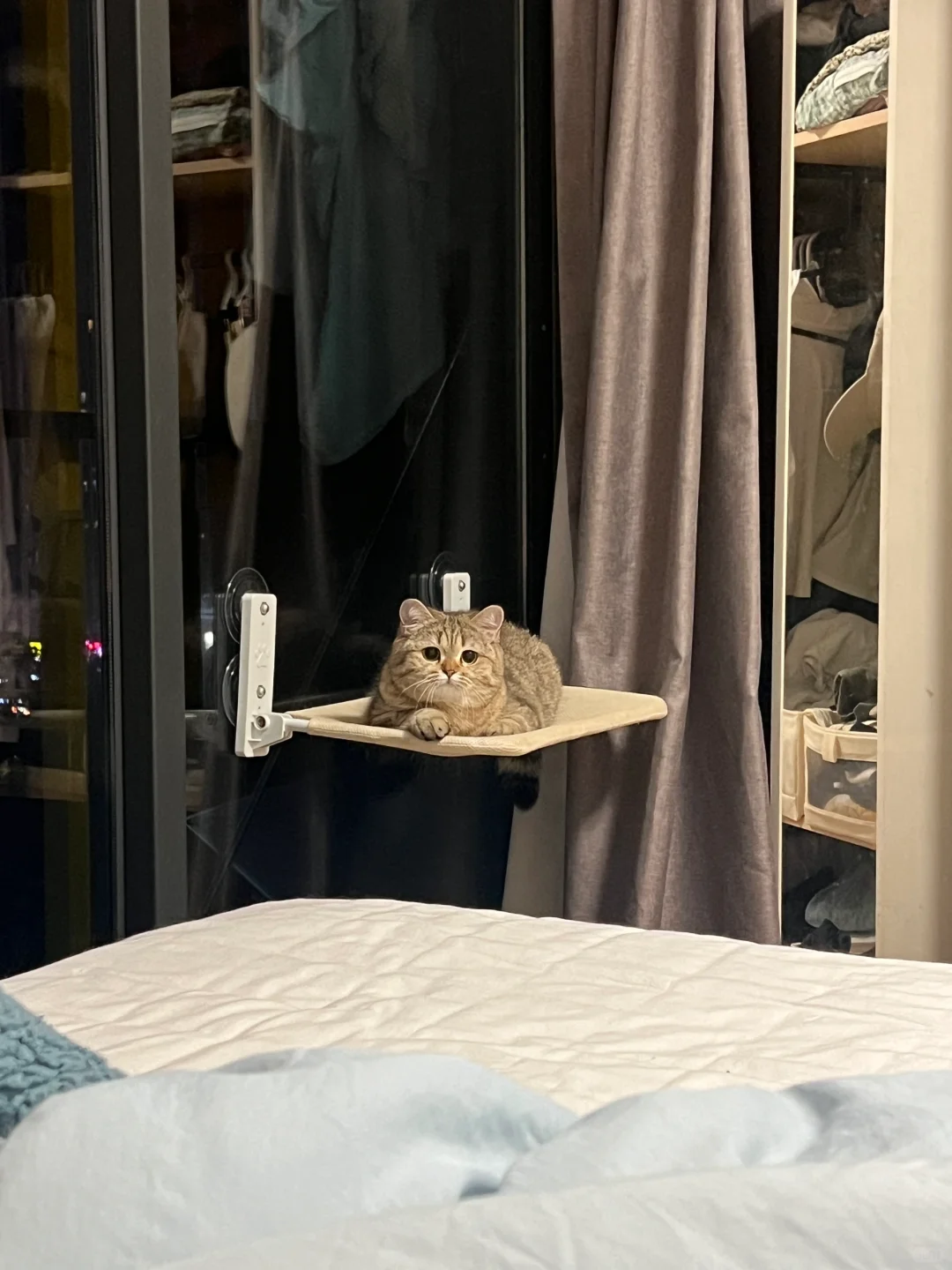 一块方包🍞