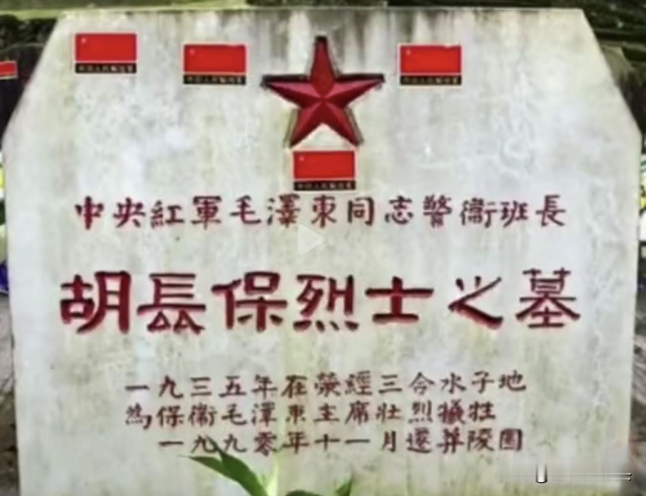 他让伟人流下了热泪
1935年6月的一天，红军翻越二郎山，途经一个名为林华坪的集