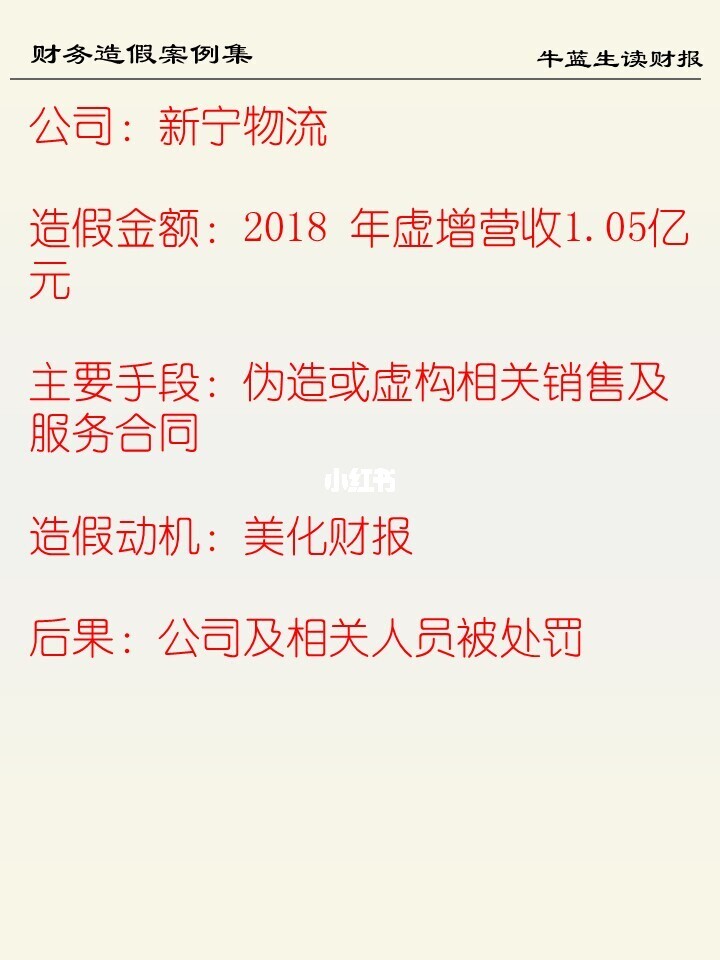 财务造假案例集 | 76 新宁物流