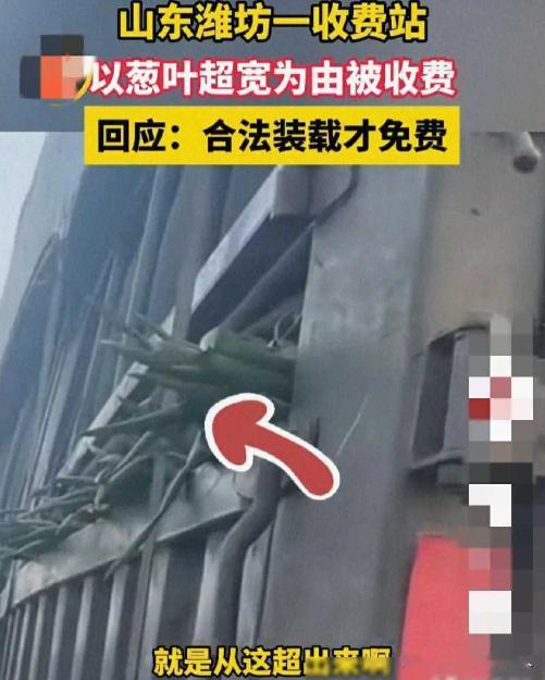 “这事闹大了！”山东潍坊，一男子开着满载大葱的货车，一路奔波，原本指望下高速能享