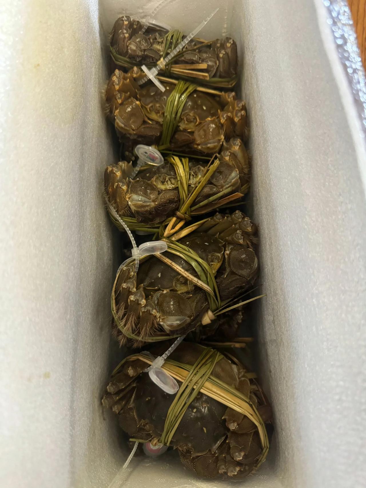男子花上万元买到假阳澄湖大闸蟹，这三点值得深思

1，这么贵，结果还是假的，要小