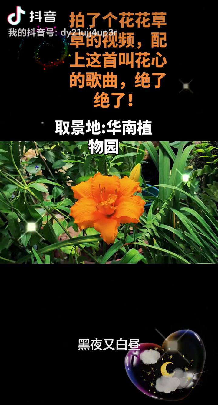 拍了个花花草，上这首叫花心的歌曲，绝了！
取景地：华南植。你的心忘了季节从不轻易