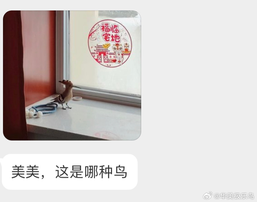 送分题环节～自信地说出它滴名字 ​​​