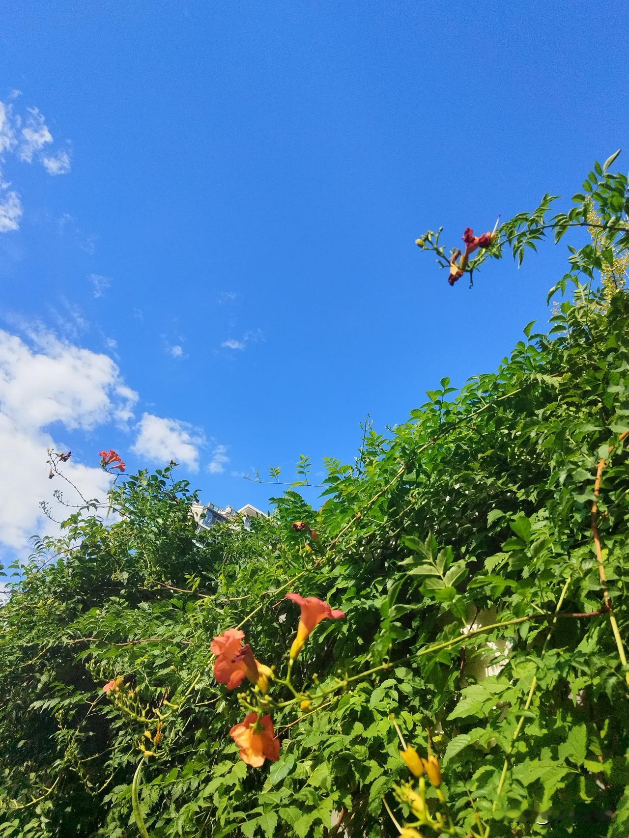 祝好！！！
 在数不尽的明天……
我的心
略比这天气，更好一些