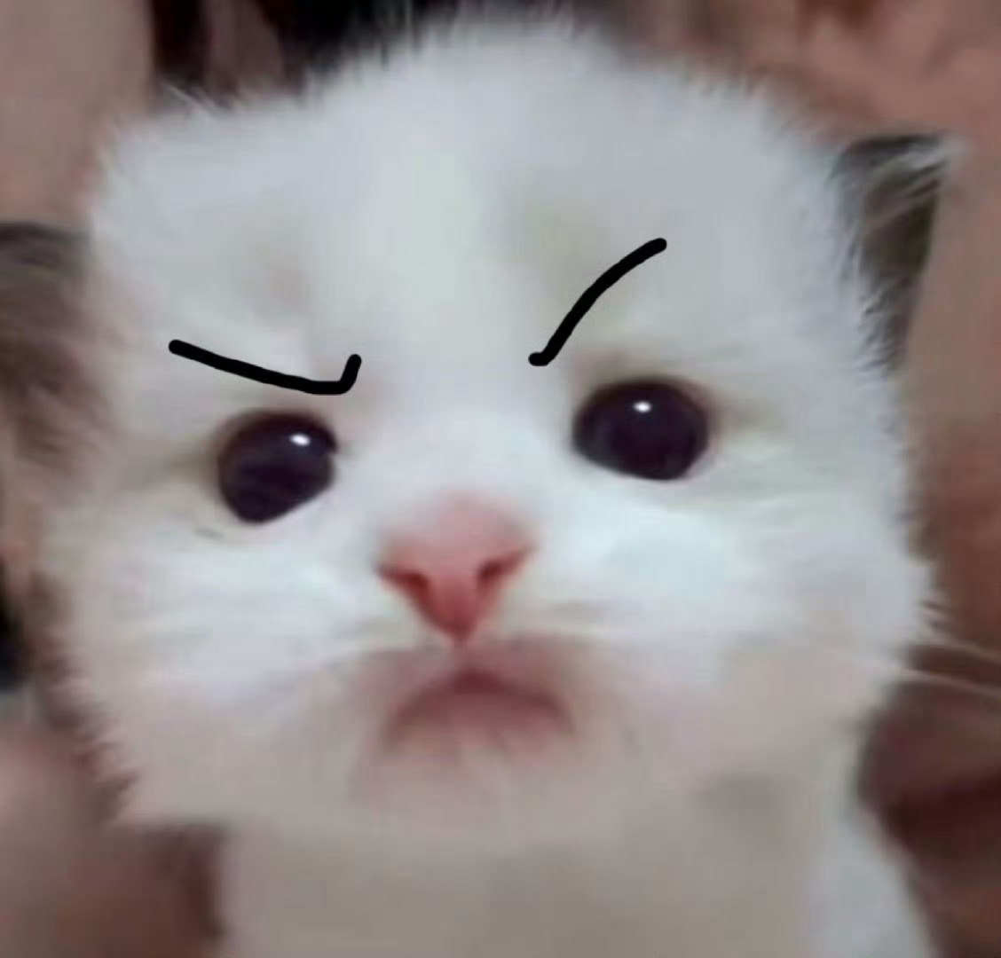 你们必须做我的猪友，从今天开始你不准跟任何猪说话 