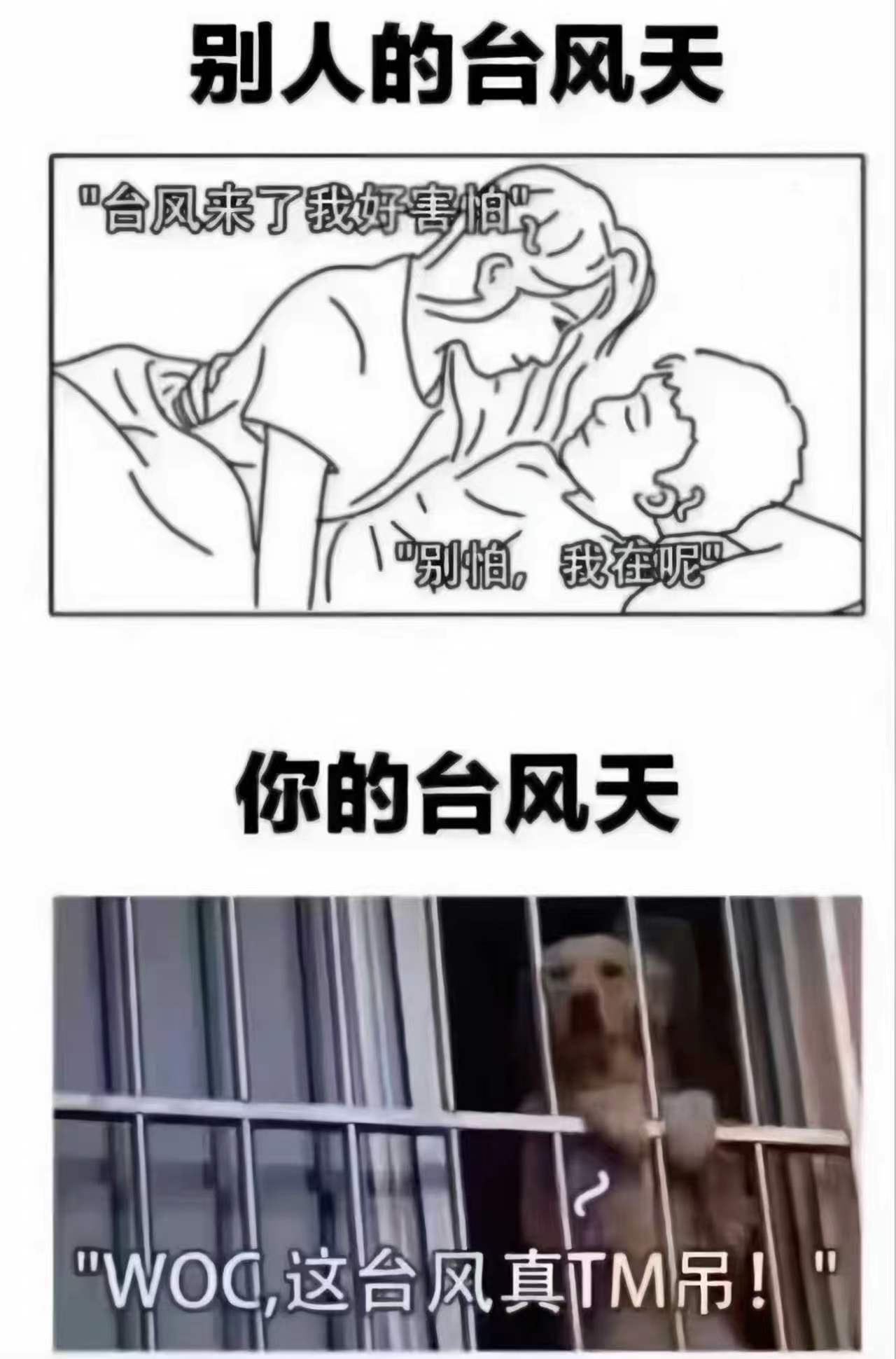 确实 