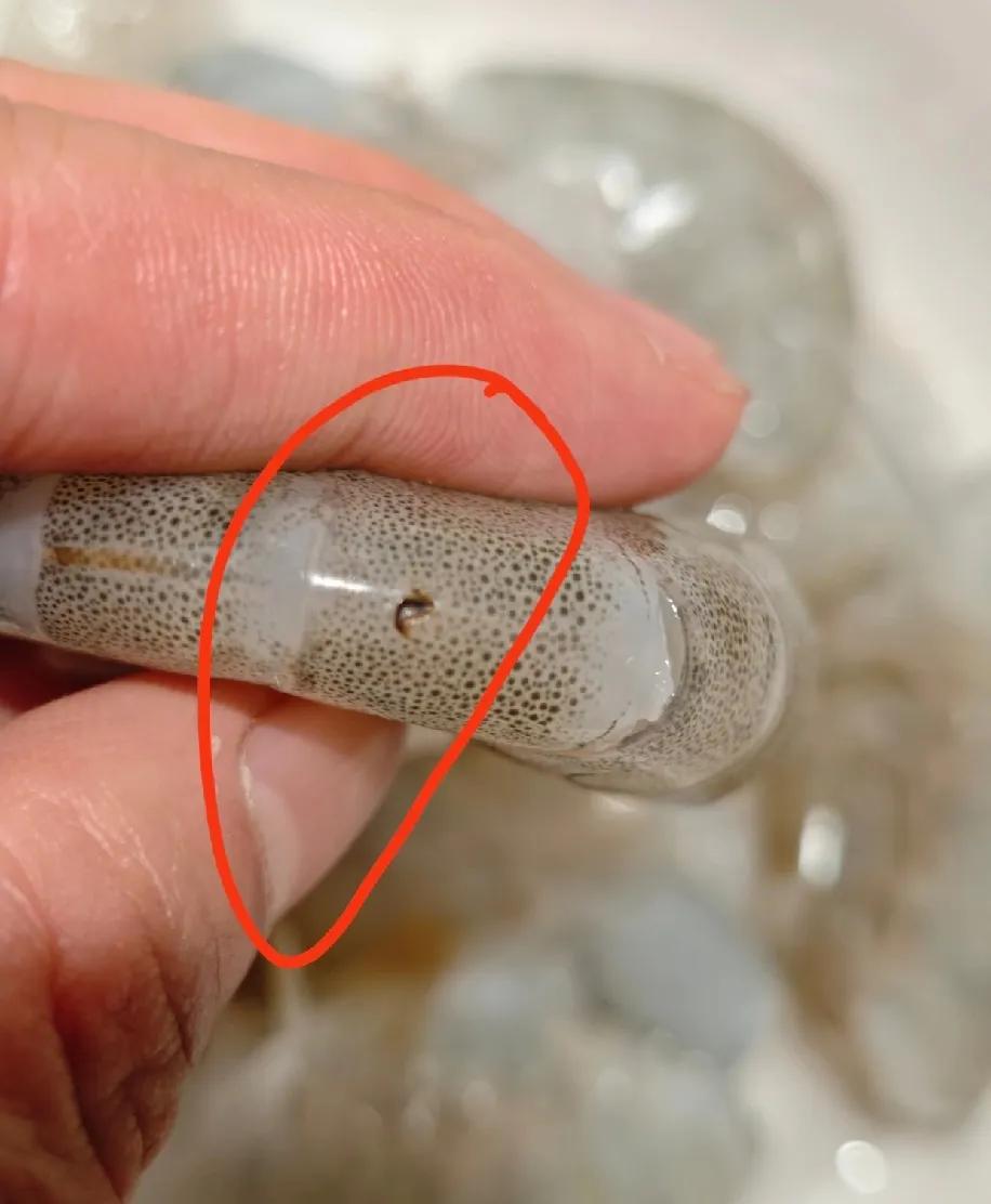 下班在楼下超市捡了个“便宜”：活虾才25.9一斤，果断称了20块的，想着今晚能炫