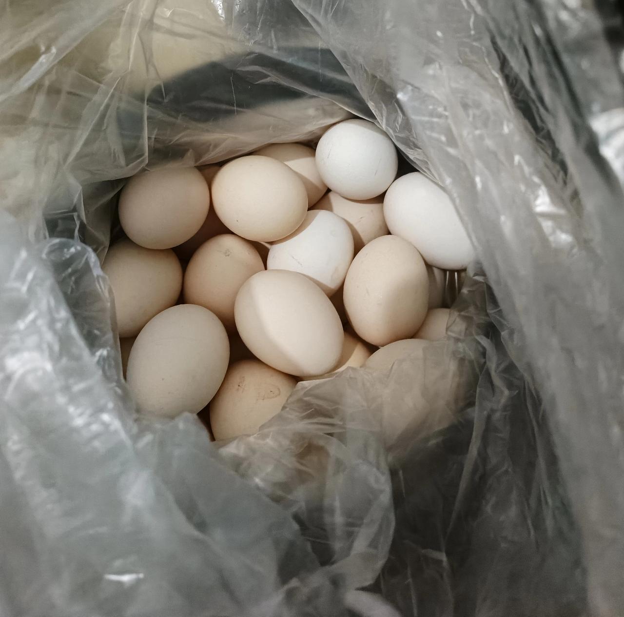 所有对短剧瞧不上的人，让他去看两集，根本停不下来，短、轻快、剧情不拖拉，每个人看