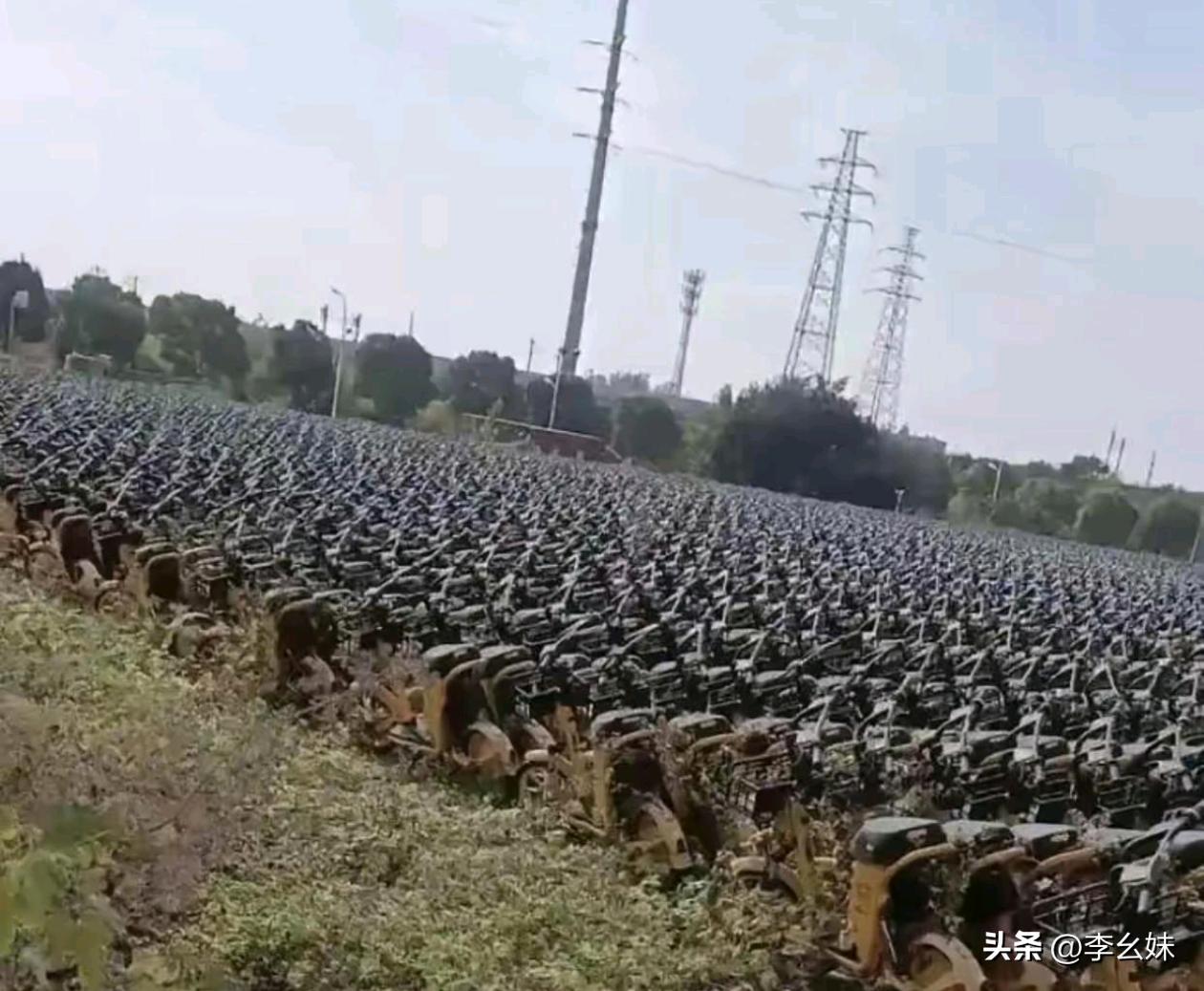 这小黄车不是还能骑么为啥就在这报废了？