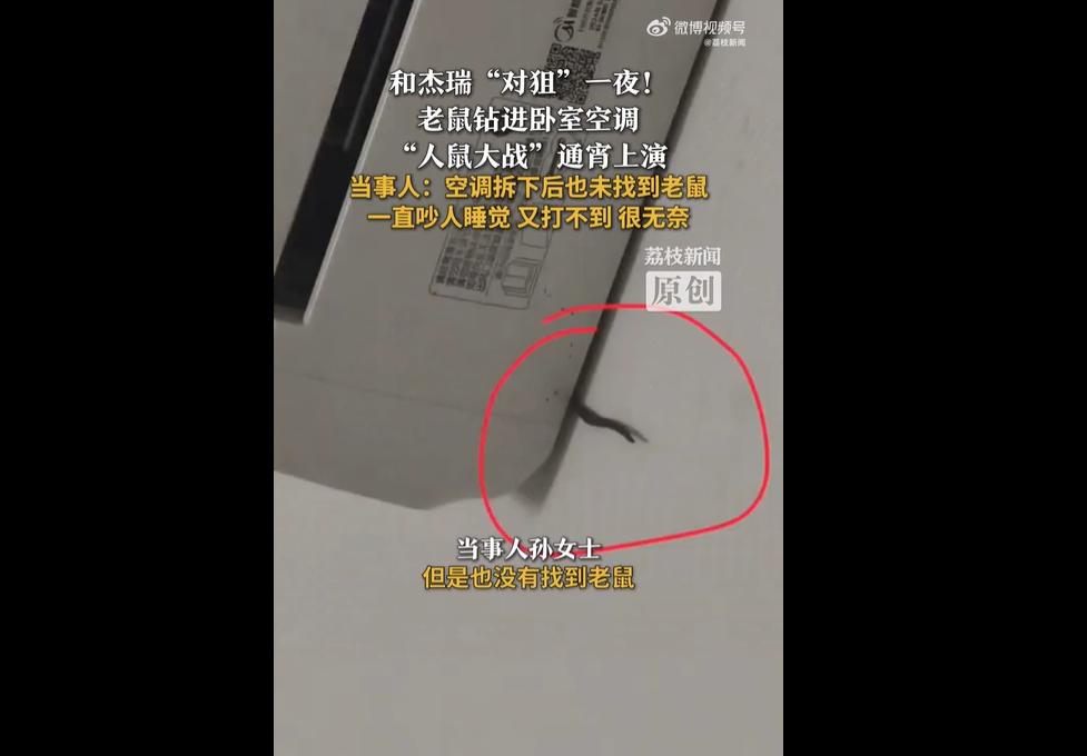 12 月 11 日江西吉安，谢女士带 2 岁儿子回娘家，凌晨 6 点迷迷糊糊感觉