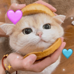 靠近你喜欢的人，去做你热爱的事，把生活过得温暖有趣。#晚安#