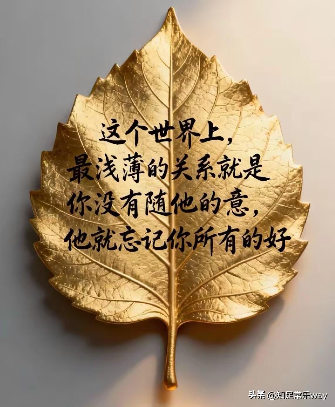 这世上最凉薄的关系莫过于，
你若未遂他心意，
他便忘却你所有的好。
人性向来如此