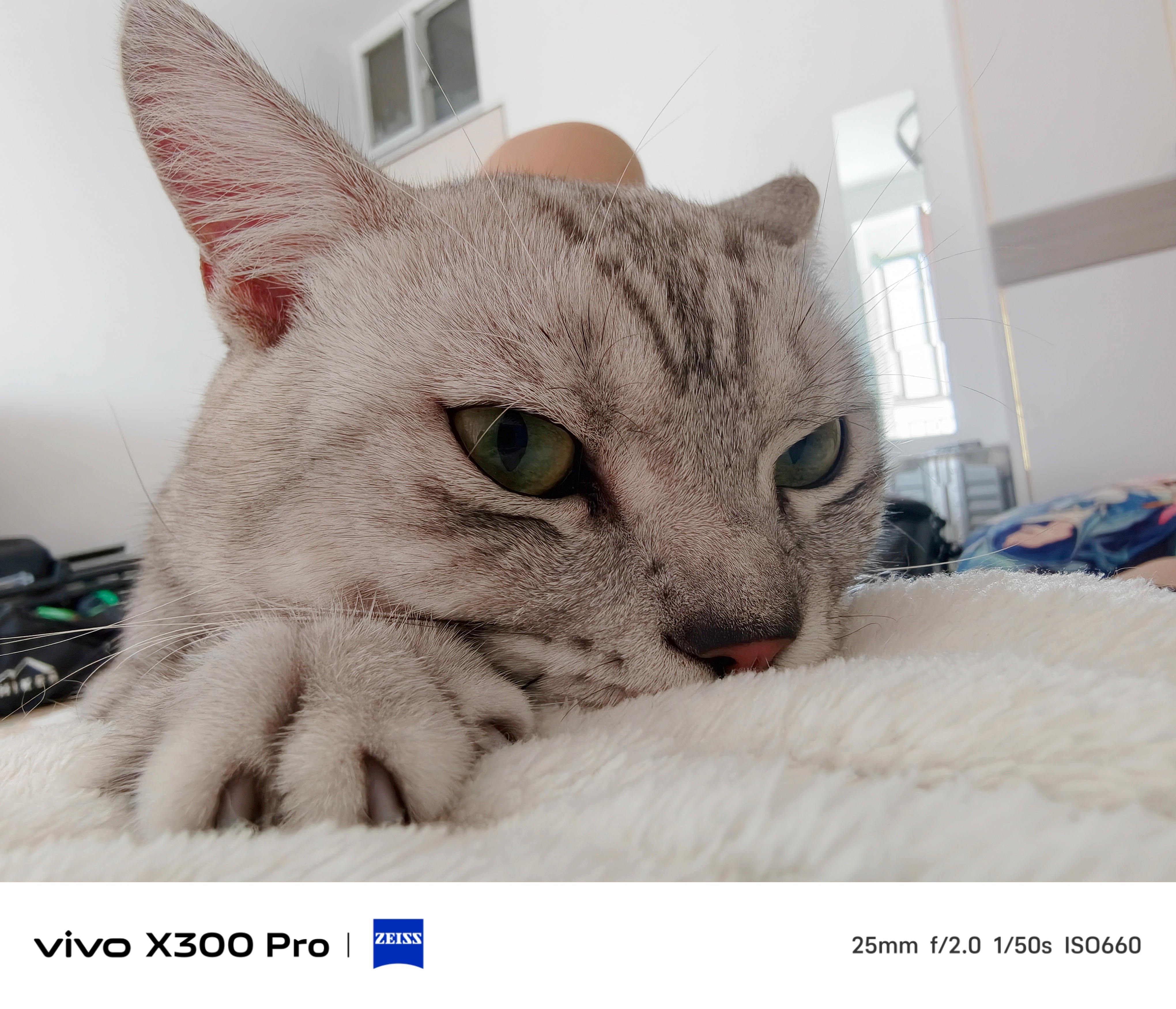 小猫你很可爱~ 