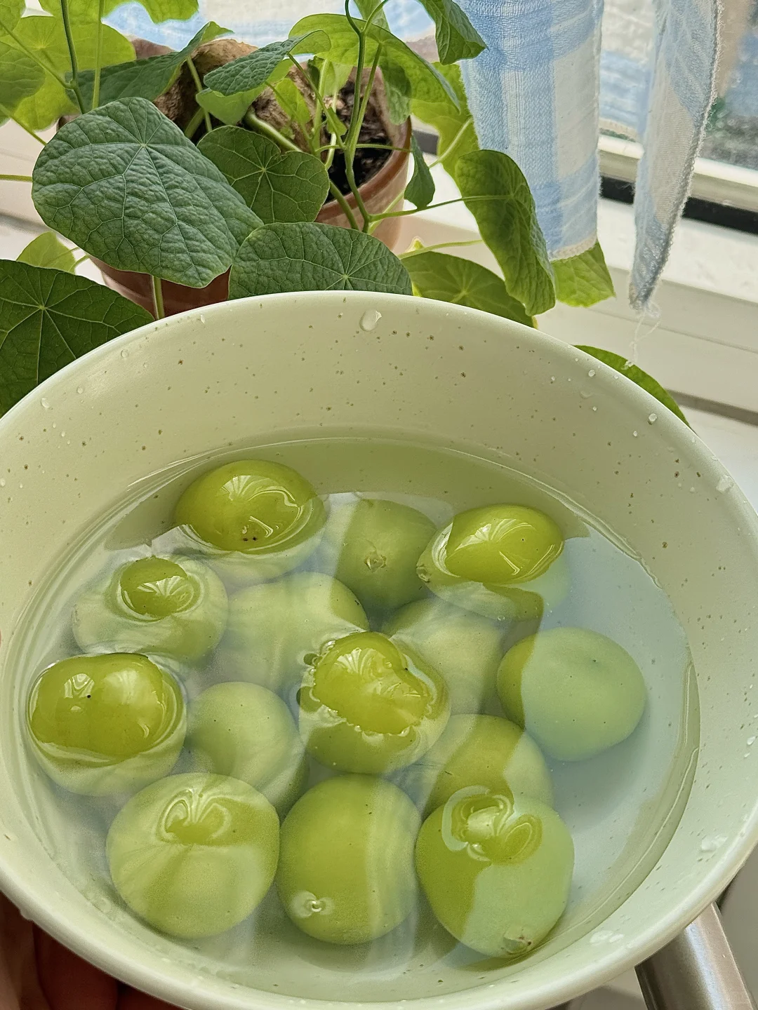 水池子随手拍 生活杂图🎧