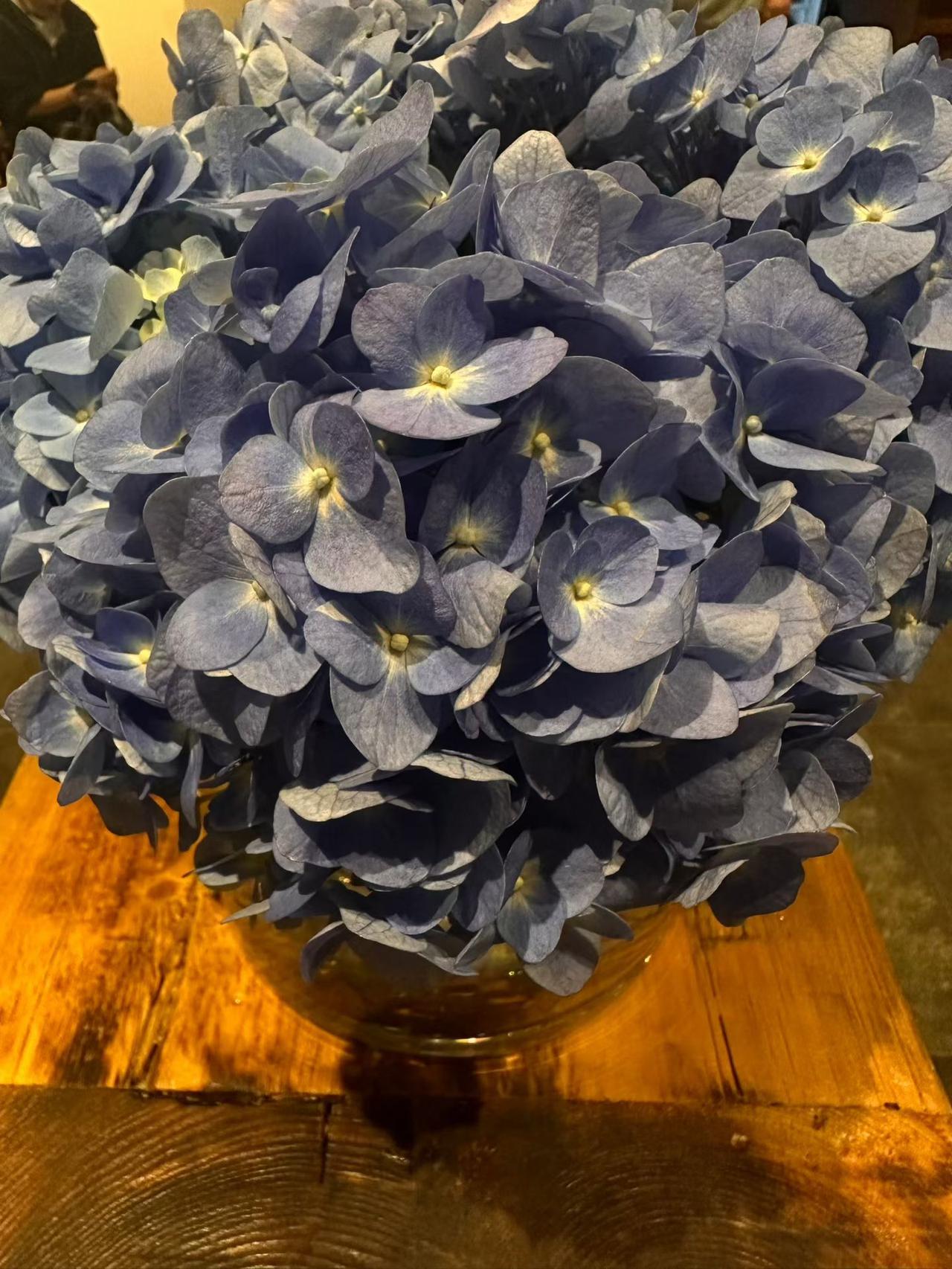 绣球花丰富多样，有蓝色、紫色、粉色、白色等，且花色可随土壤酸碱度变化（酸性土壤呈