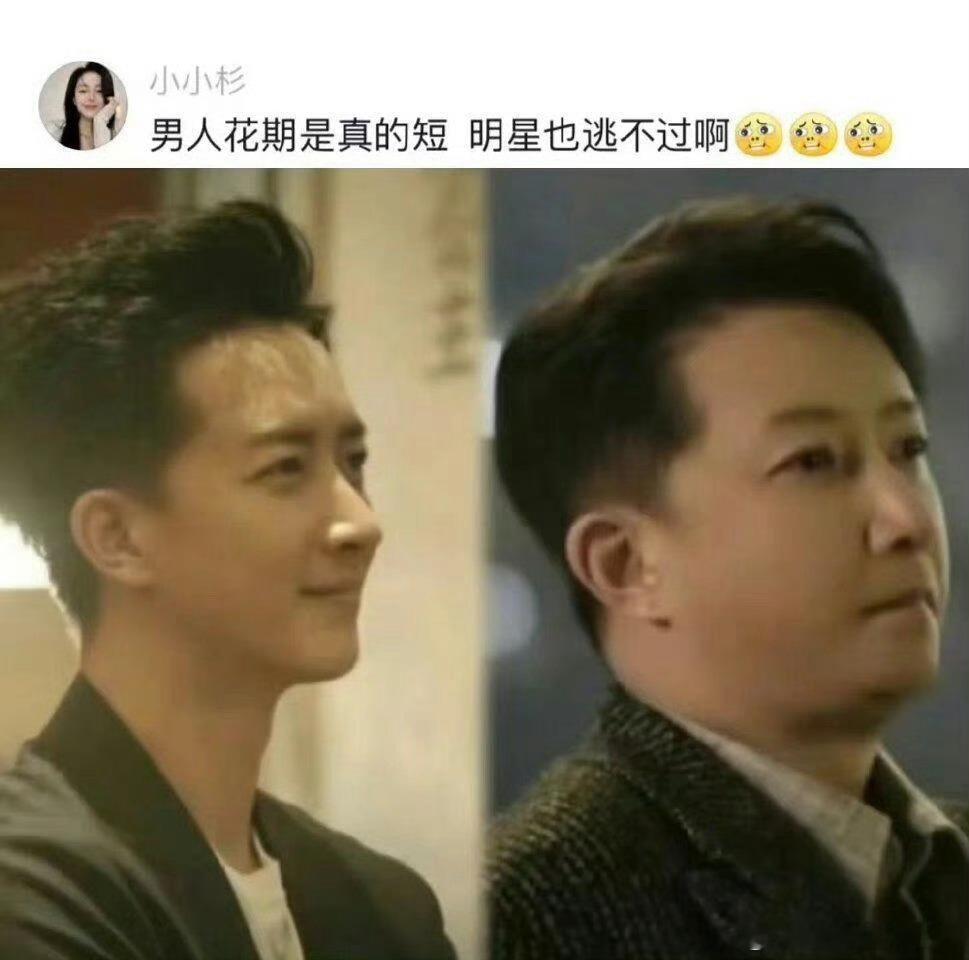 男人的花期有多短系列 ​​​