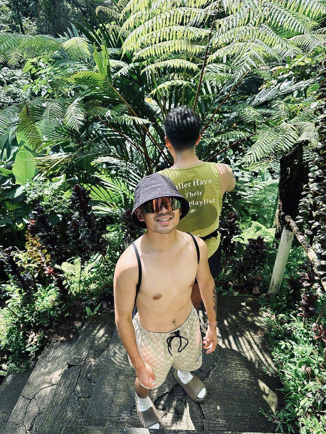 今天闯入东南亚绿色海洋与树共同呼吸 乌布就是一座巨大的避世雨林 