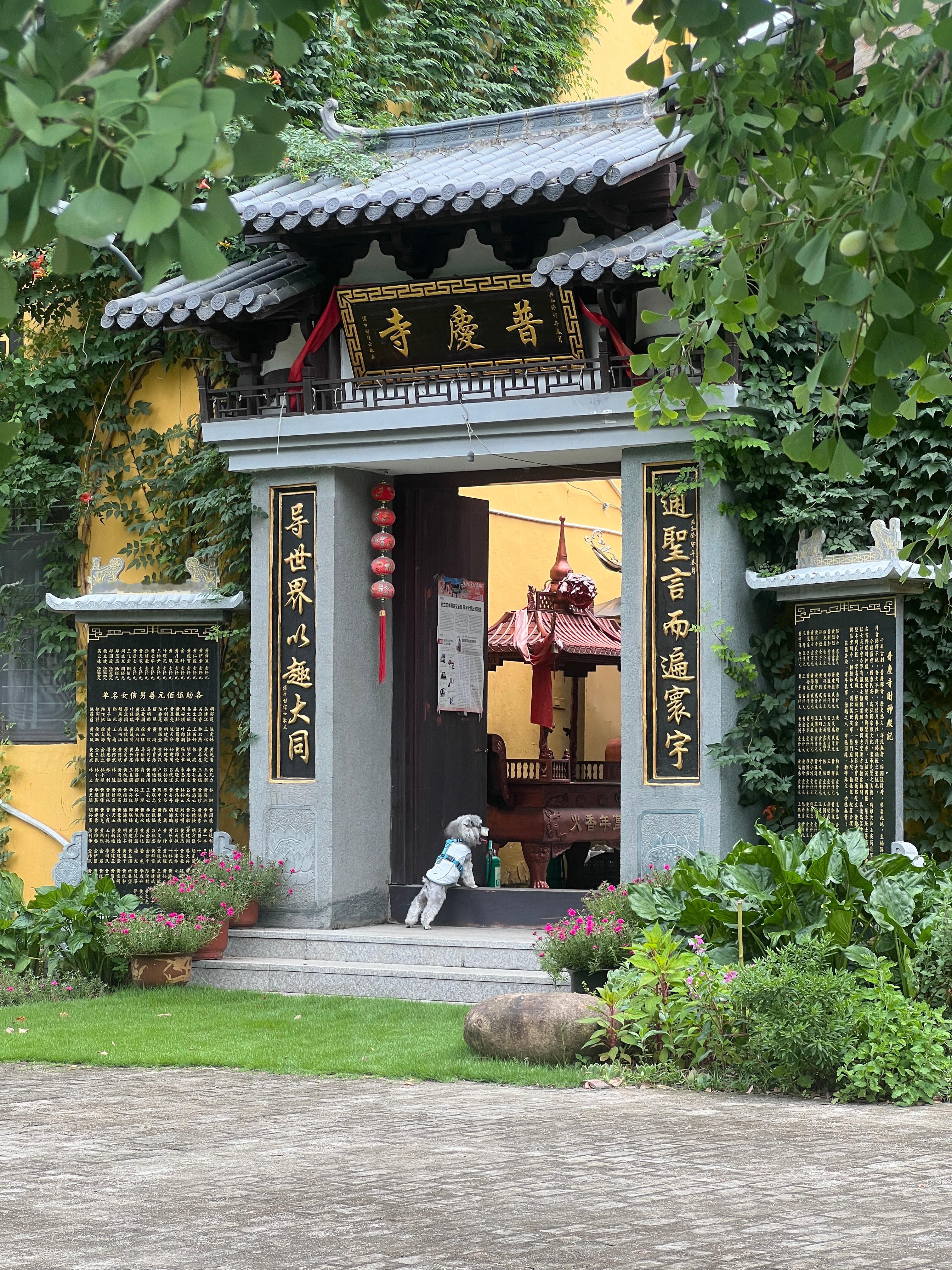 周五快乐 ​​​