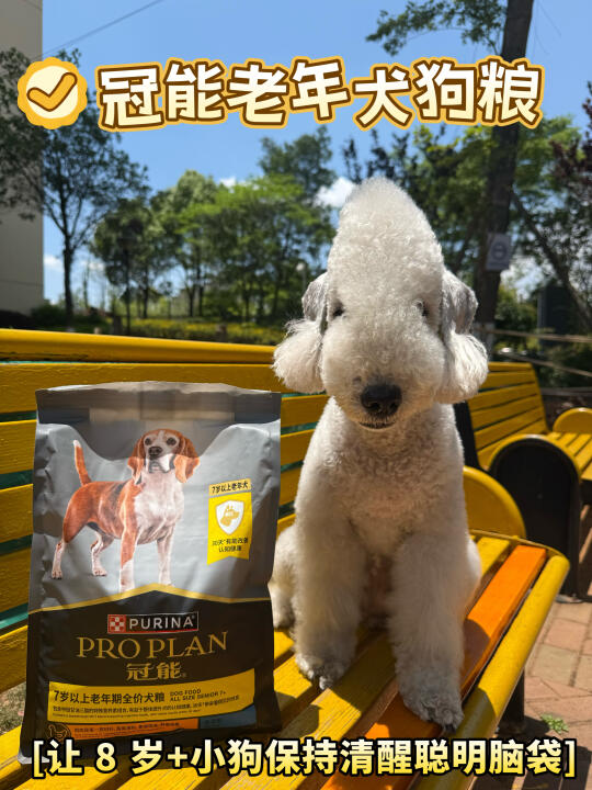 让8岁＋老年犬宝宝的衰老来得再慢一些