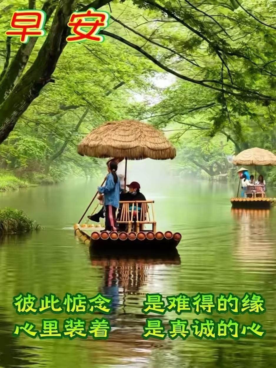 分享图片 