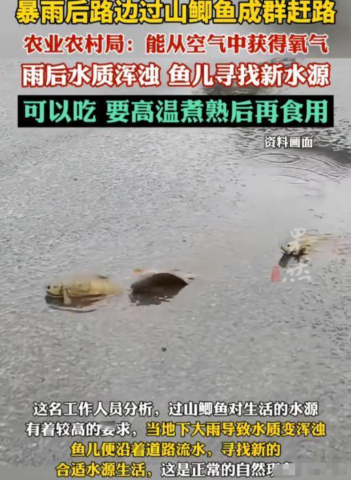 解释不清了！中国环境网5月18日报道，广西防城港，男子雨后回家，突然在路上发现一