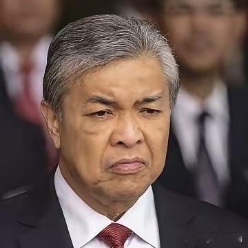 马来西亚副总理专门上门访华，既没要武器，也没张口要钱，点名就要中国的卫星技术，说