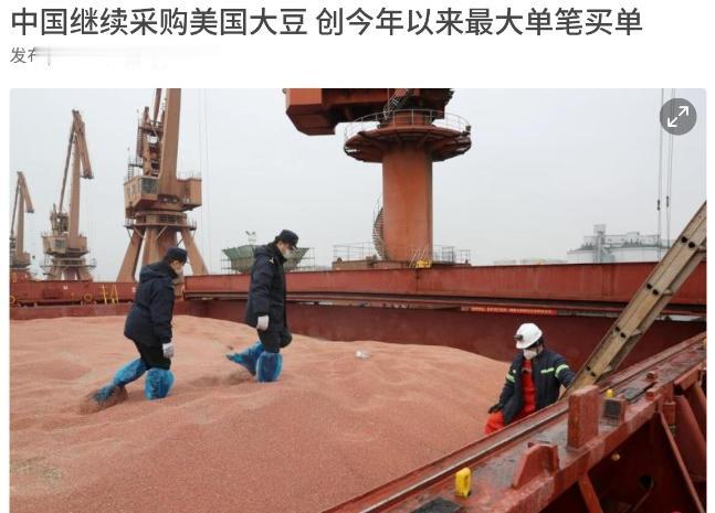 积极的信号！美国农业部证实，我们确实是在大规模采购美国的大豆！8月4日，根据联合