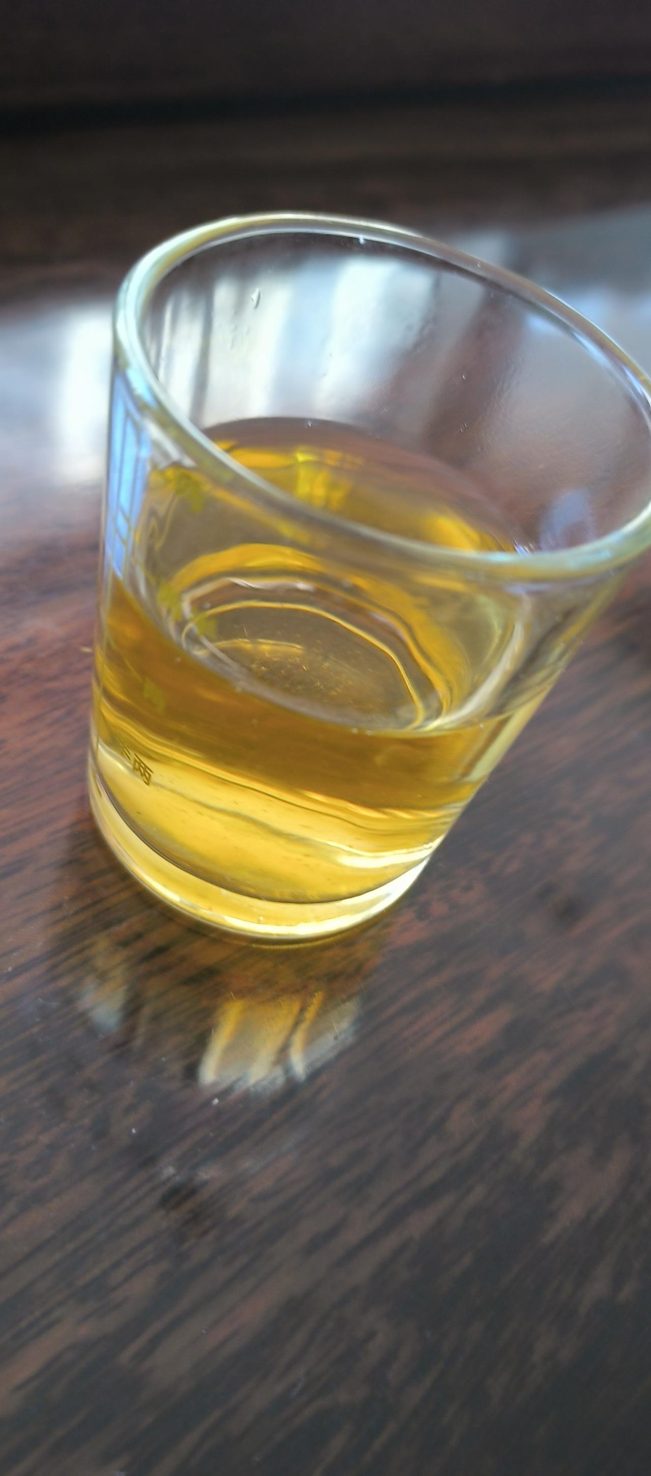 从满大街的粤S回又到满大街粤K的地方，原来全中国人都在过冬，只有粤K高州的，还在