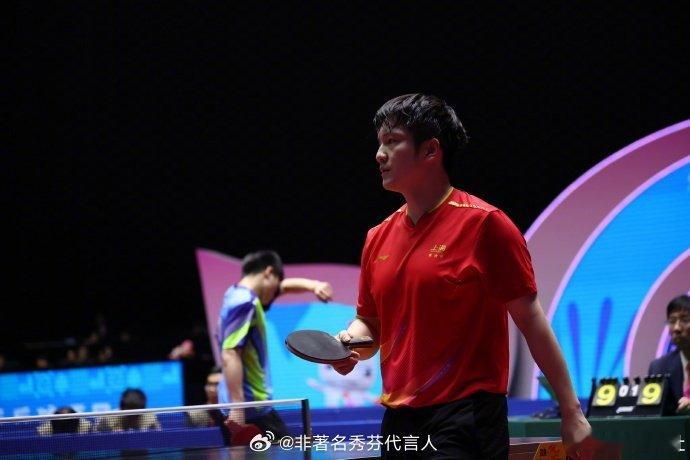 樊振东等于权威！！！ 