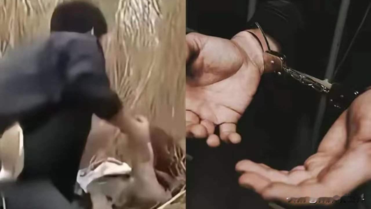 河北，一男子见女邻居在麦田浇地，竟将她拽进小树林强行发生了关系。女子偷偷报了警，