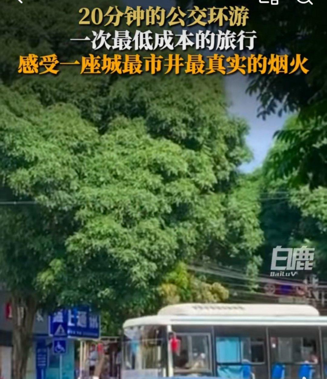 你听过公交二十分钟效应吗你别说，你还真别说，每次去一个城市🏙，我都会坐一趟，因