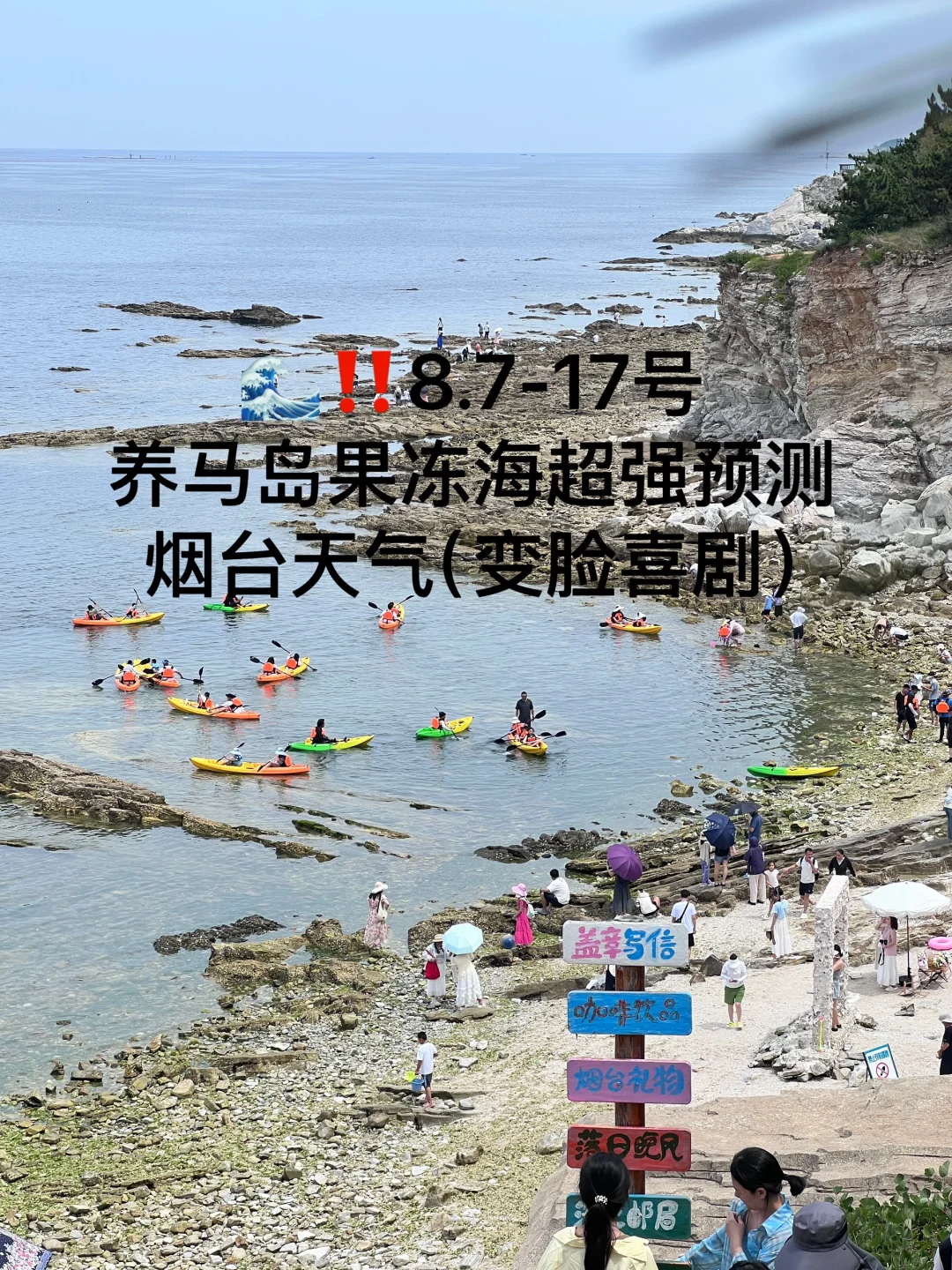 📍8.7-17号烟台养马岛果冻海超强预测