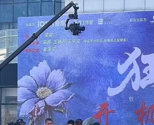 角色正反排名是…啥意思 