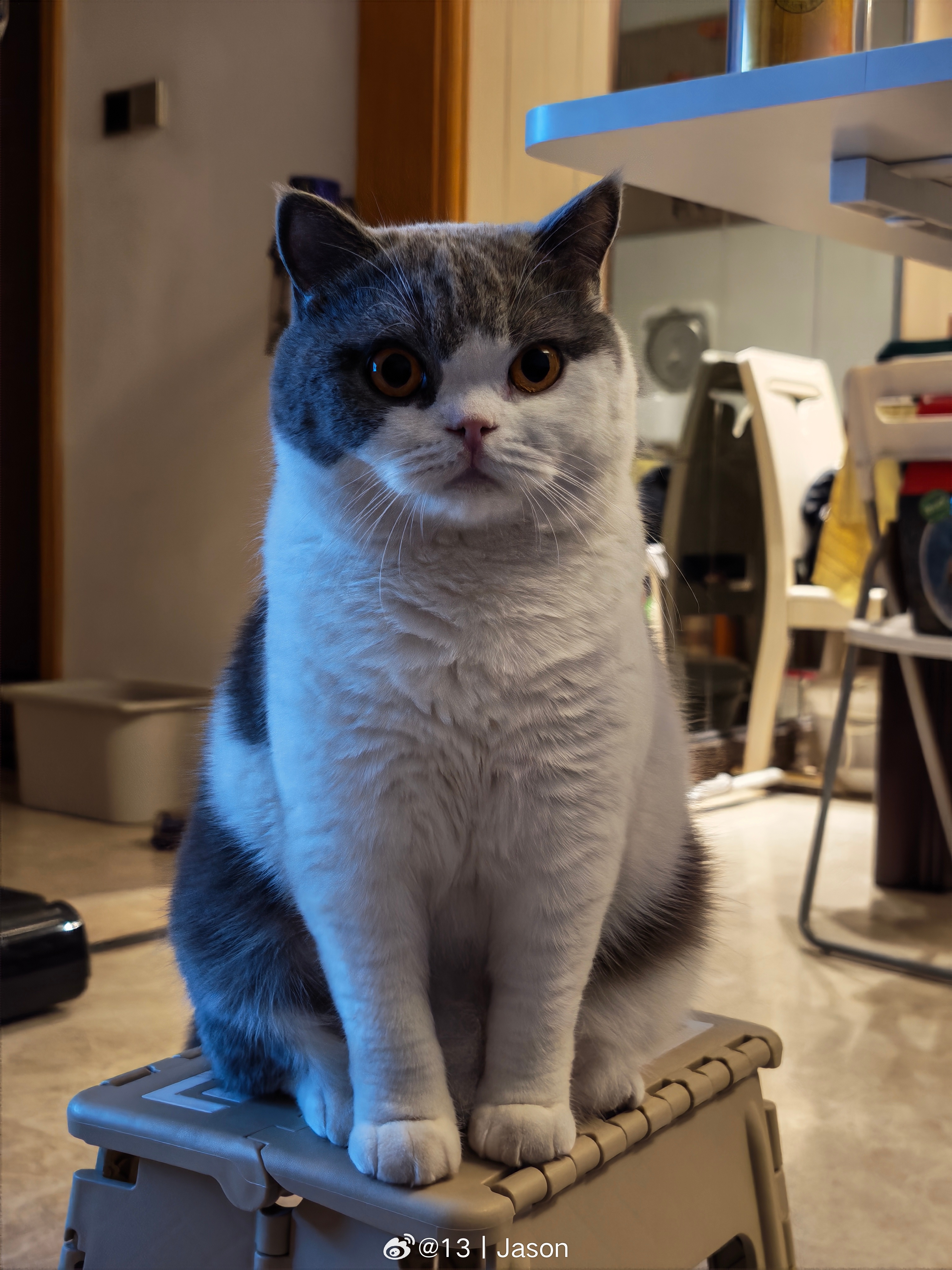 周五啦周五啦。 