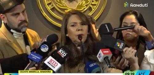 巴拉圭议员：我们那个年代叫人黑鬼很正常，我正在自我解构？？此前因对姆巴佩发表涉种
