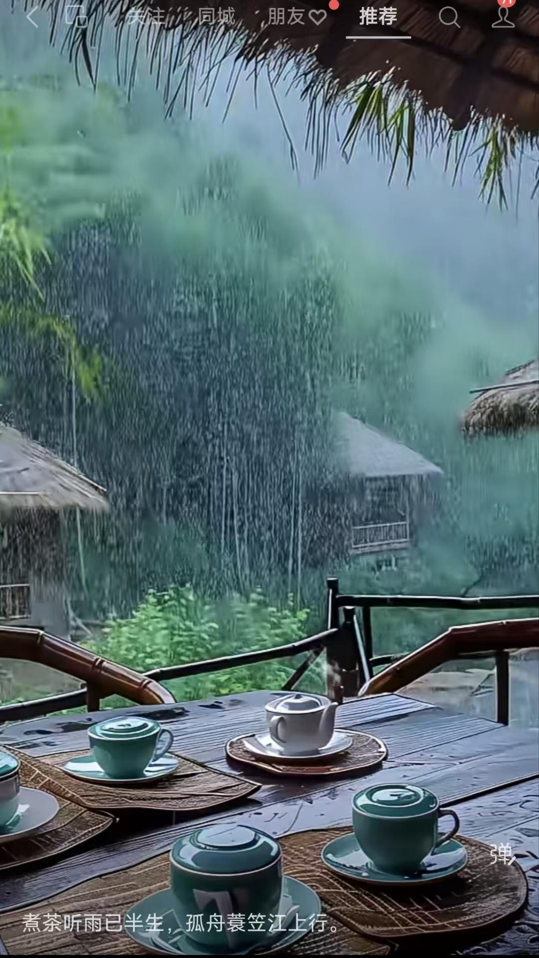 塞鸿秋.听雨
茶烟漫卷松风静，
渔蓑独钓江天暝。
空山雨打芭蕉影，
茅檐滴翠洗尘