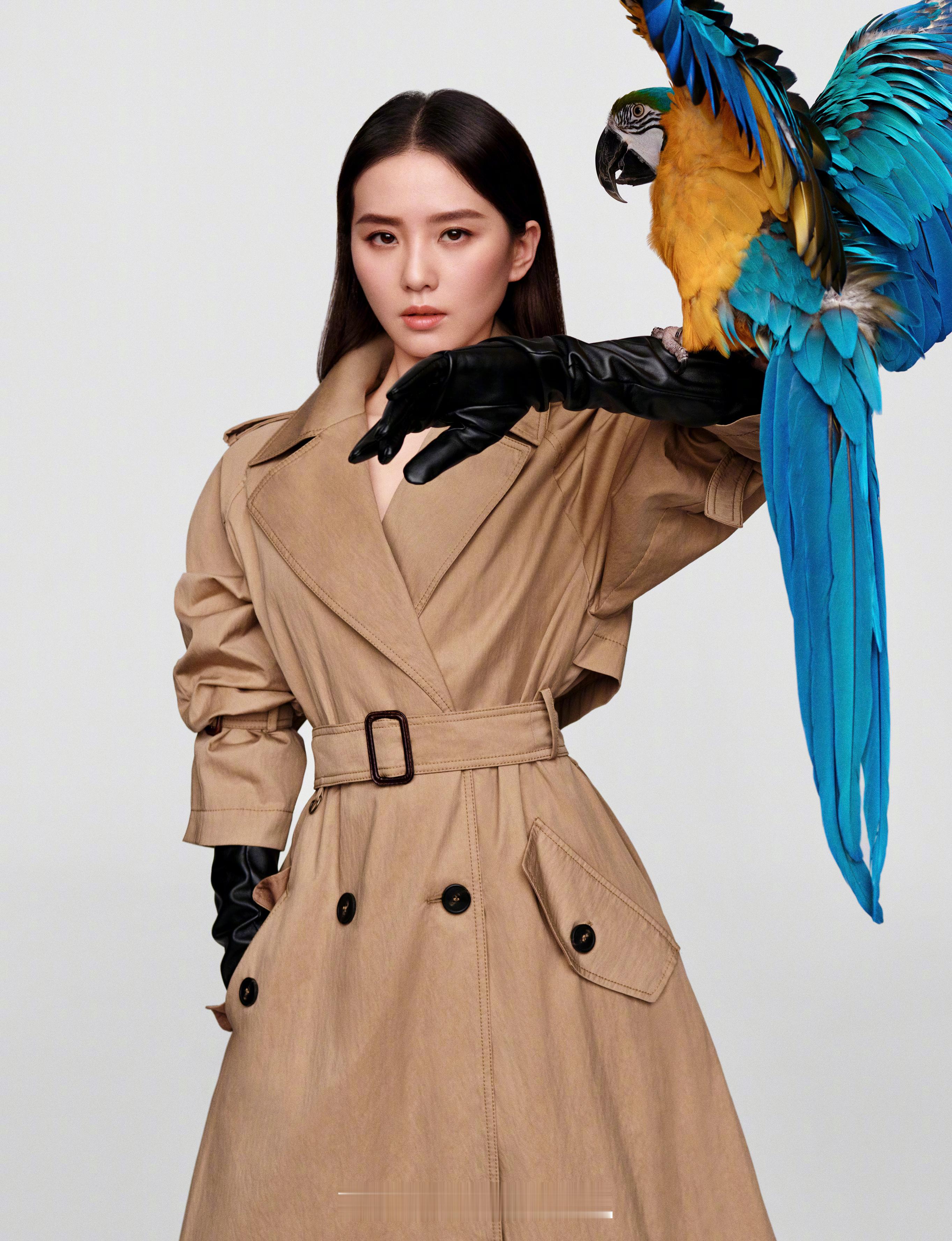 穿普拉达的女王2 U2《City of Blinding Lights》 Cit