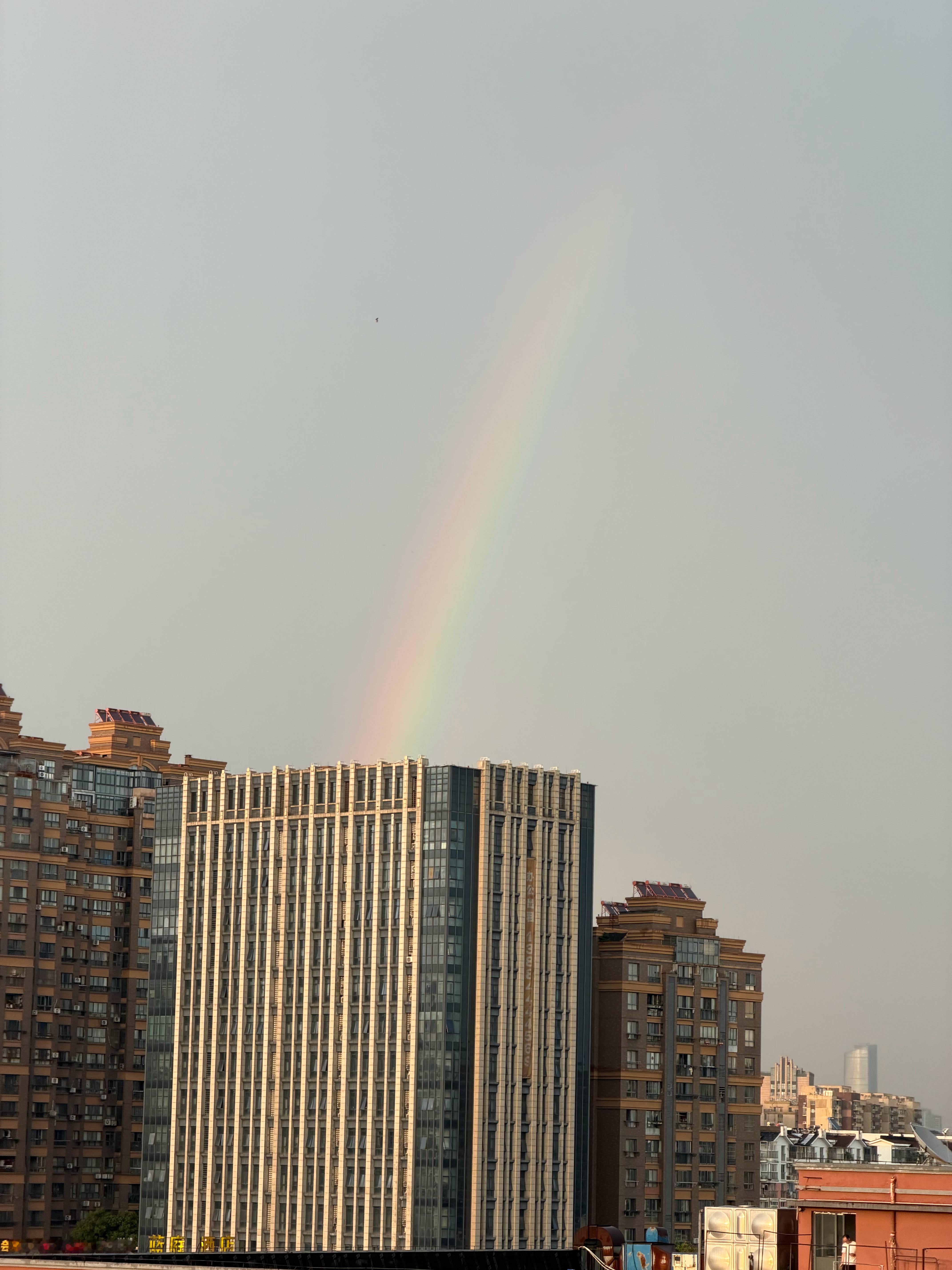 🌈 