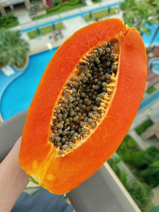 一点不夸张，每年至少50箱！