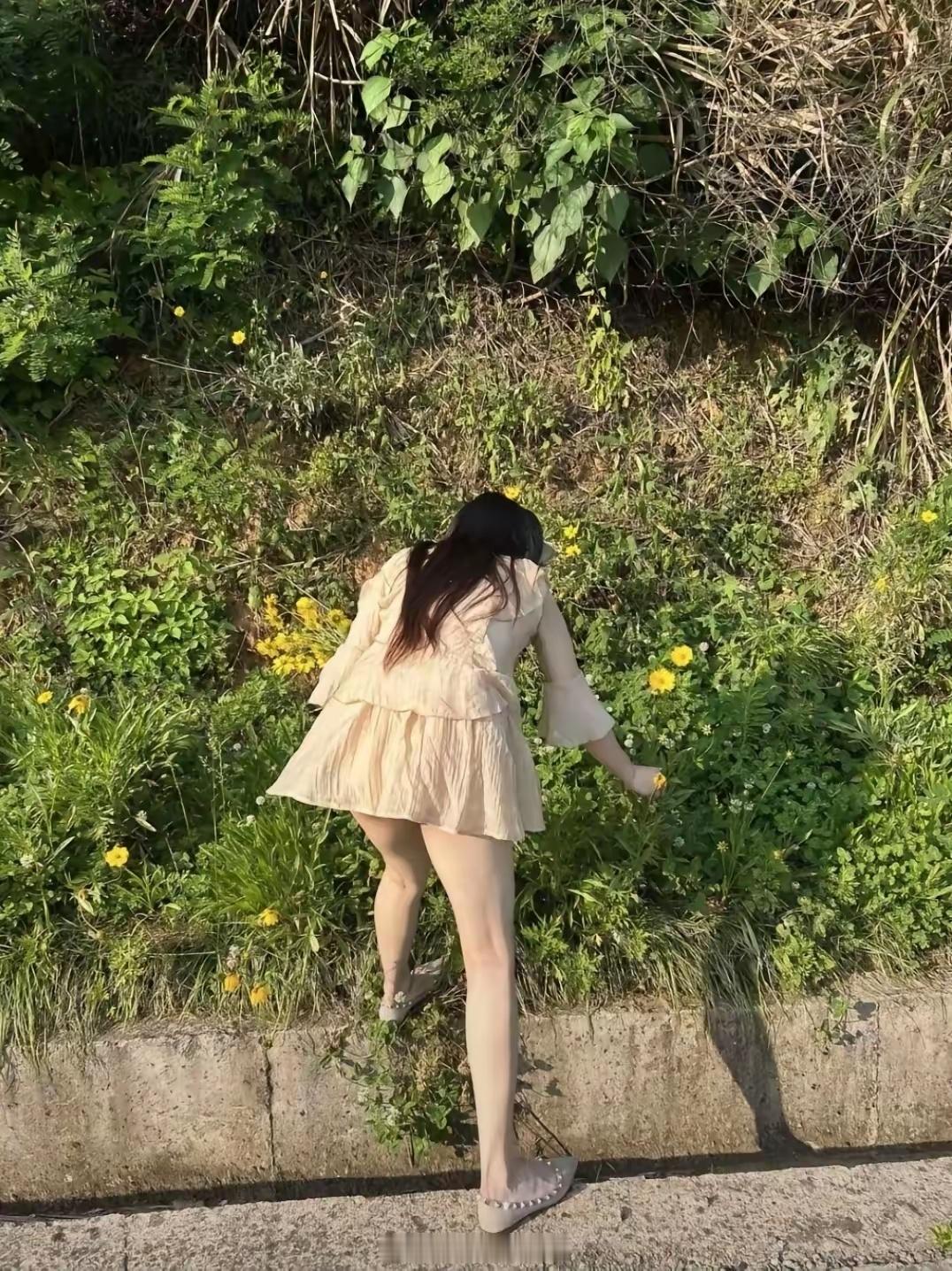 路边的野花不要采。