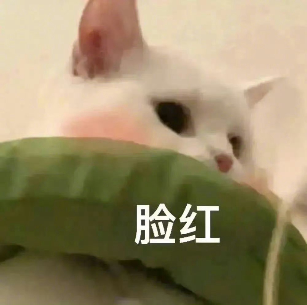 “我看你还有没有穿着那个旧肚兜啊”“没有，人家换了”“看到了，好漂亮哦” 这对话