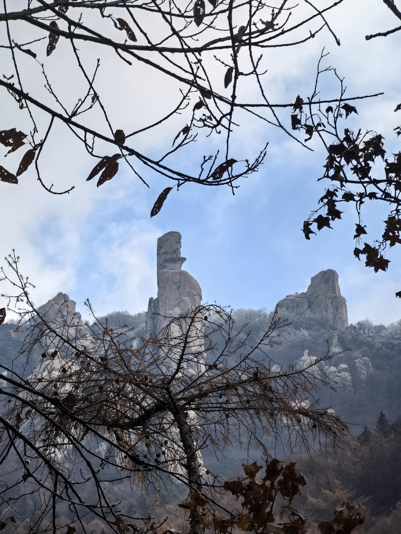 关于“明星回春”的讨论，近期在自媒体上掀起一阵舆论风波，甚至还有很多耸人听闻的玄