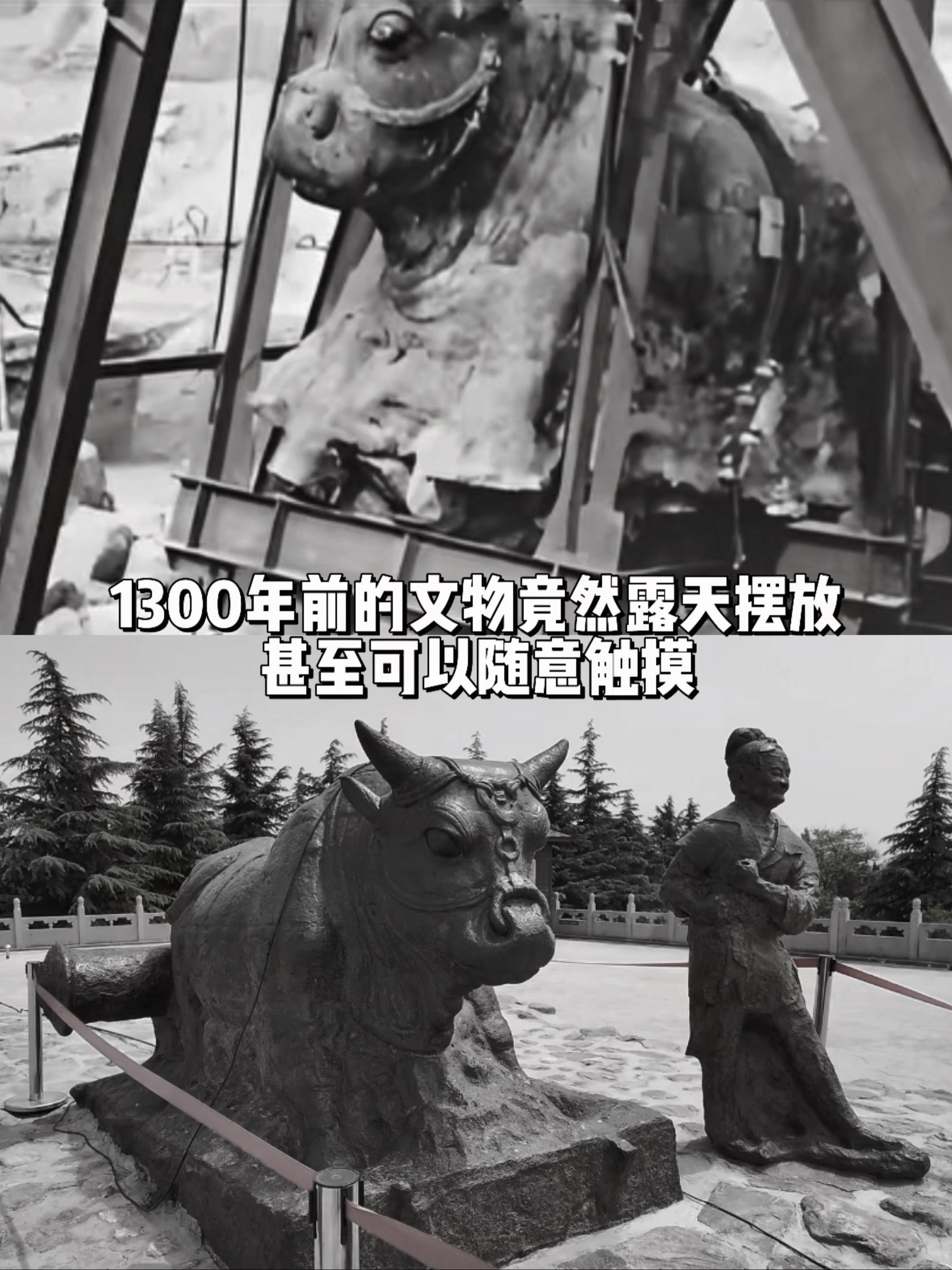 1300年前的文物露天摆放甚至可随意触摸。1989年专家们在黄河河滩打...