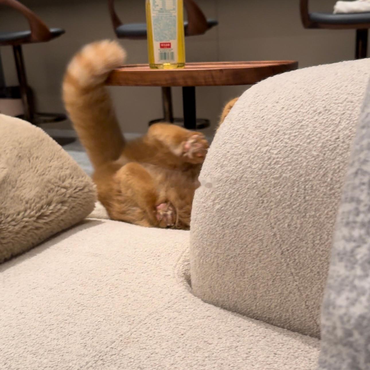 我马上就要掉下去了喔！！！ ​​​