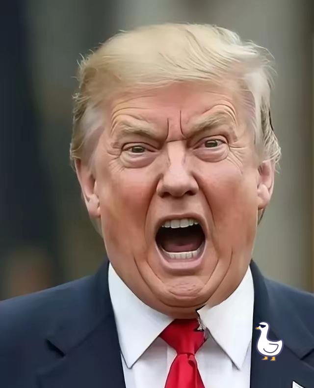 还不如去抢
美国总统突然宣布：
2月3日，美国总统特朗普在社交媒体上宣布：向哈佛