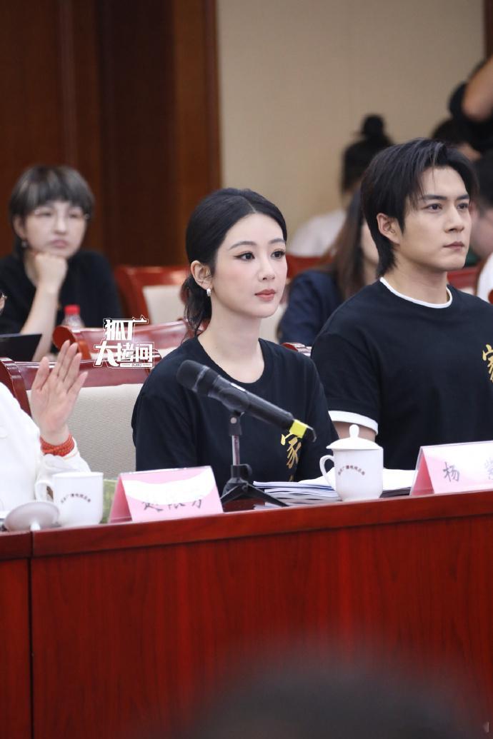 杨紫有种体制内的感觉  杨紫家业座谈会像体制内开会 别人营业走花路，杨紫座谈会认